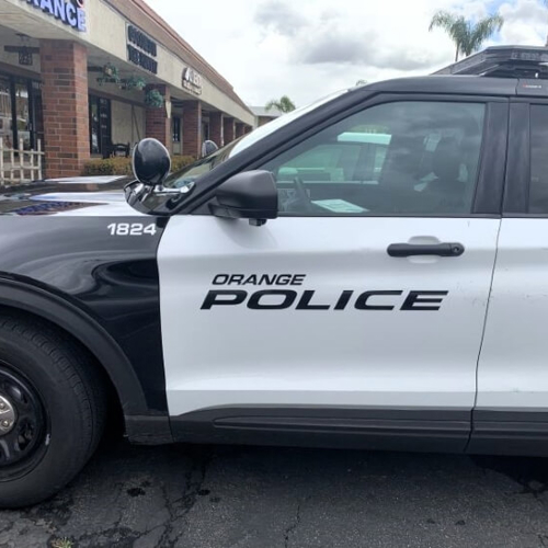 Vehicle Graphics